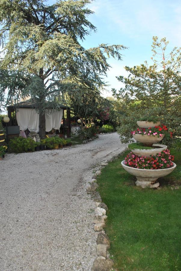 Villino Alle Terme Viterbo Bagian luar foto